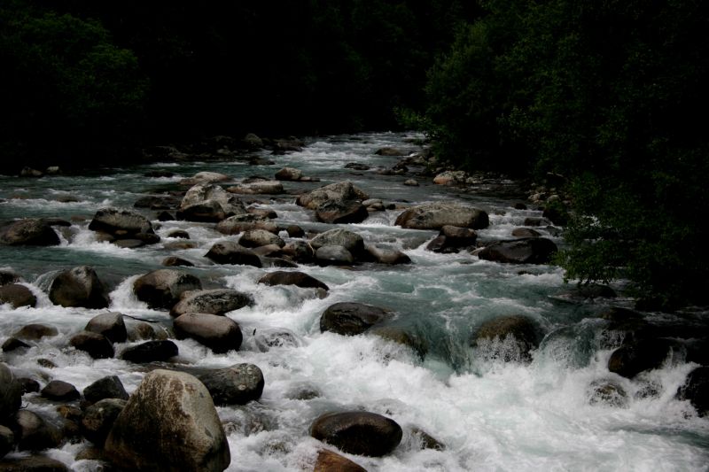 070404 Hope Hatcher Montana Creek (10126)
